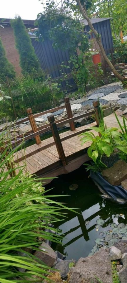 Działka rod Pyskowice. Zdjęcie 2