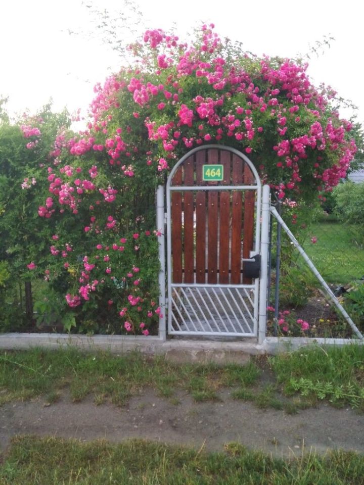 Działka rod Dąbrowa Górnicza. Zdjęcie 4