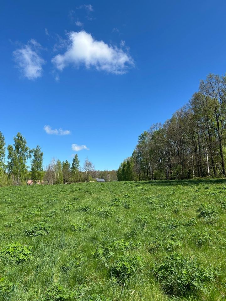 Działka rolno-budowlana Gajówka. Zdjęcie 7
