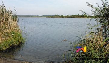 Działka budowlana Dąbrowa