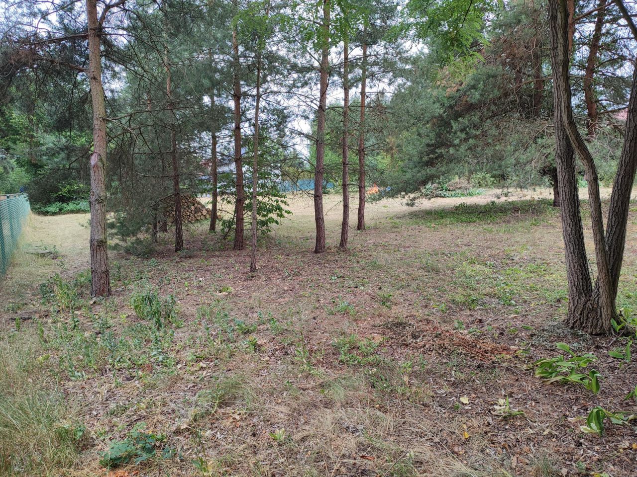 Działka budowlana Marylka, ul. Sosny. Zdjęcie 7