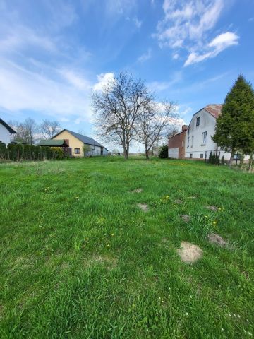 Działka rolno-budowlana Olchowiec. Zdjęcie 1