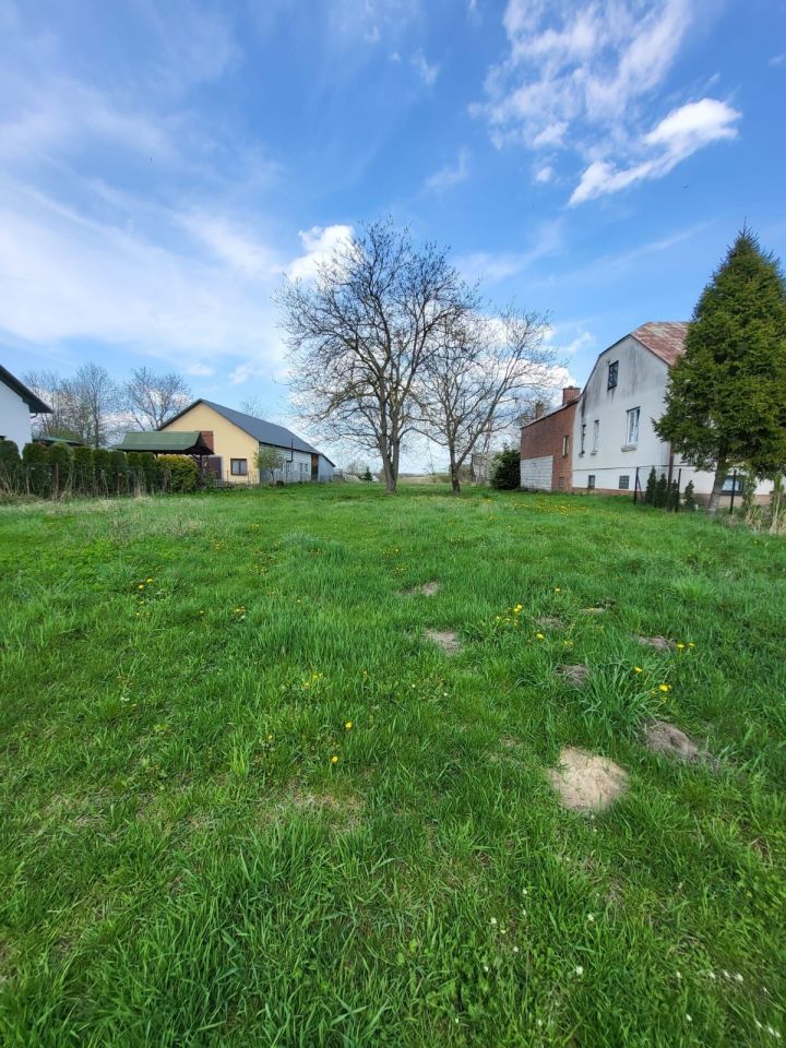 Działka rolno-budowlana Olchowiec. Zdjęcie 1