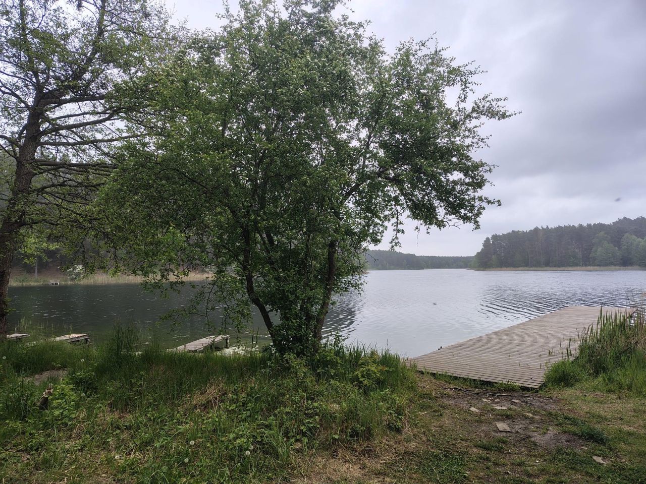 Działka inna Świniary. Zdjęcie 4