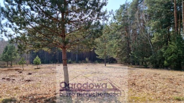 Działka budowlana Kąty. Zdjęcie 9