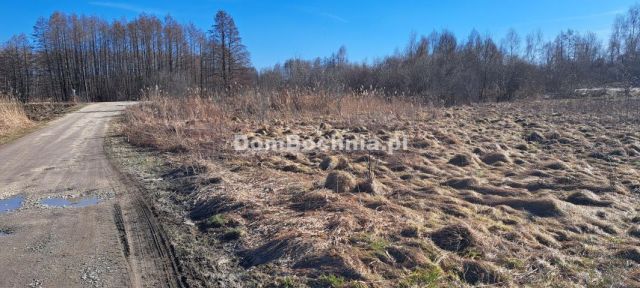 Działka inwestycyjna Borek. Zdjęcie 8