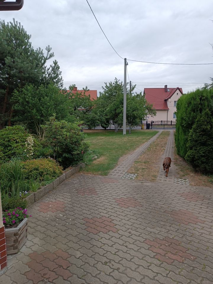 bliźniak, 7 pokoi Oława Zwierzętnik, ul. Zwierzyniec Duży. Zdjęcie 2