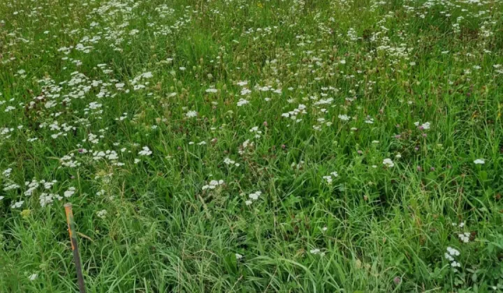 Działka budowlana Łukawiec Jatki