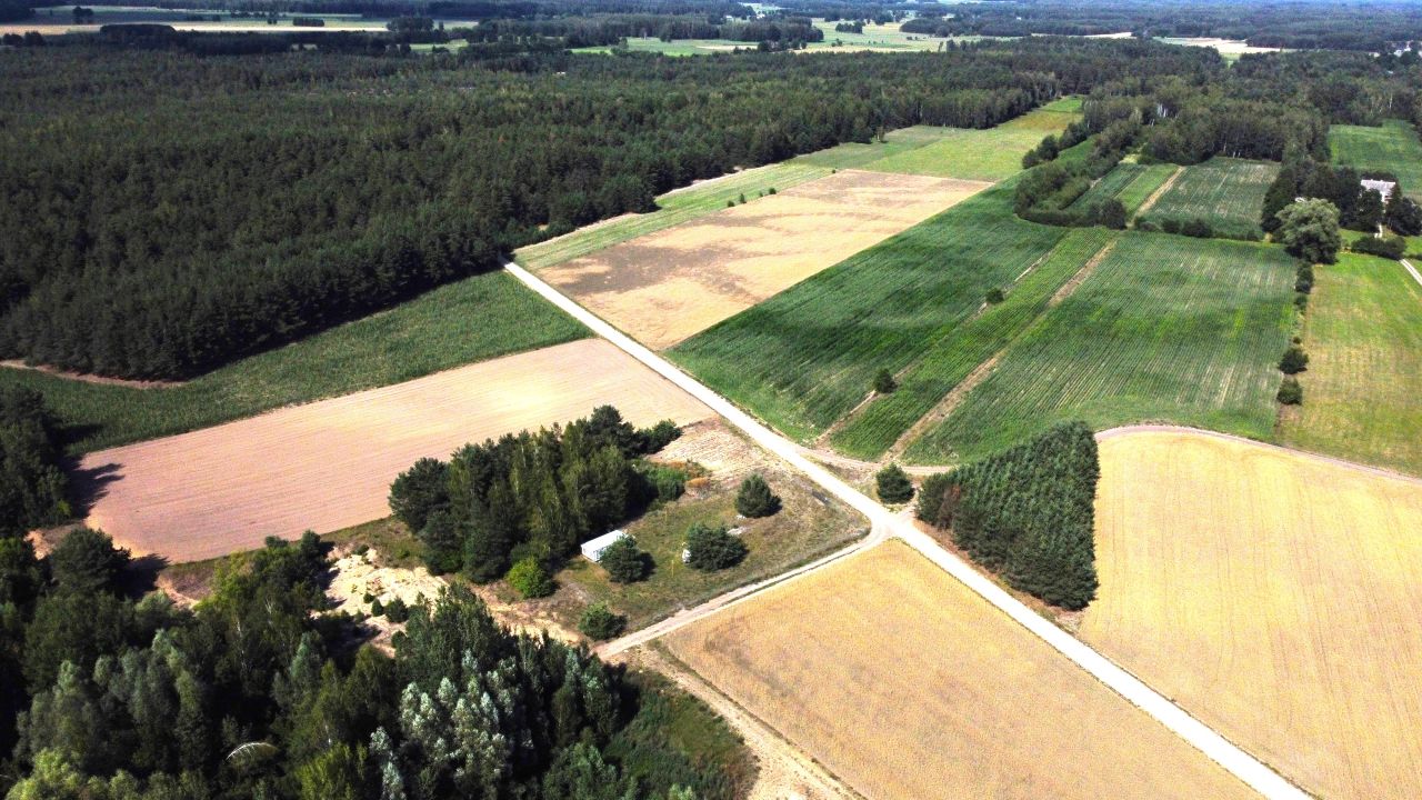 Działka siedliskowa Pełty. Zdjęcie 7