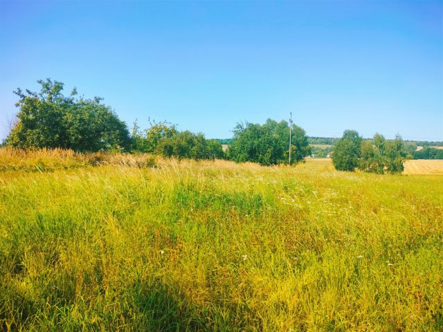 Działka budowlana Sieradowice-Parcele. Zdjęcie 10