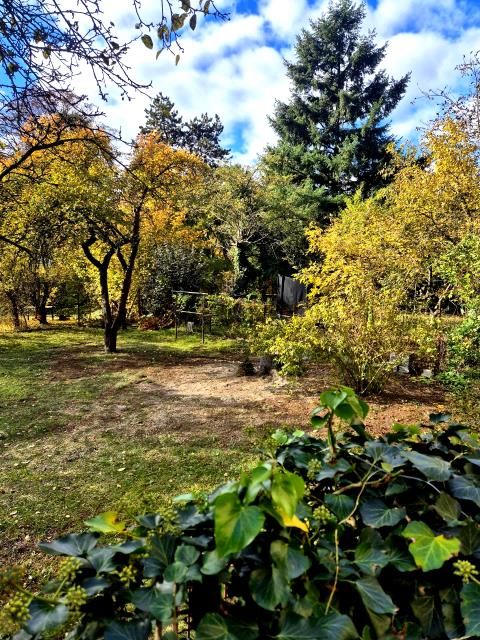 dom wolnostojący, 8 pokoi Komorów. Zdjęcie 3