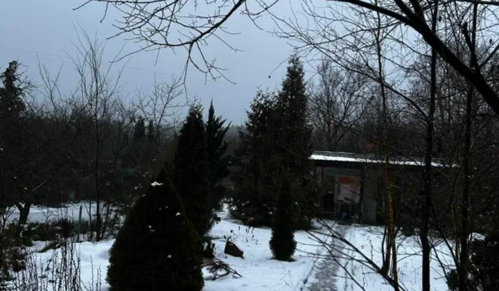 Działka rod Suchy Las