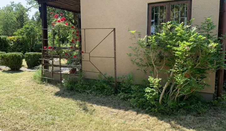 Działka rod Komorów, ul. Turystyczna