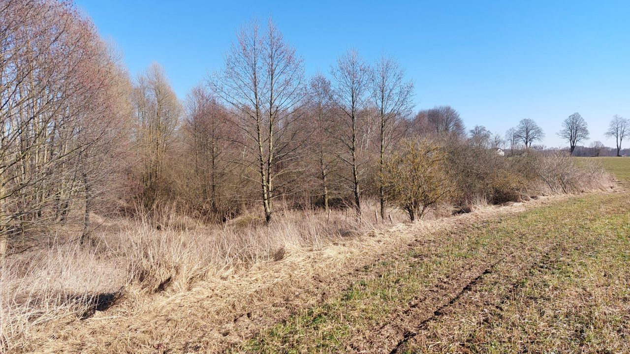 Działka inna Piaski, Lipowa. Zdjęcie 6