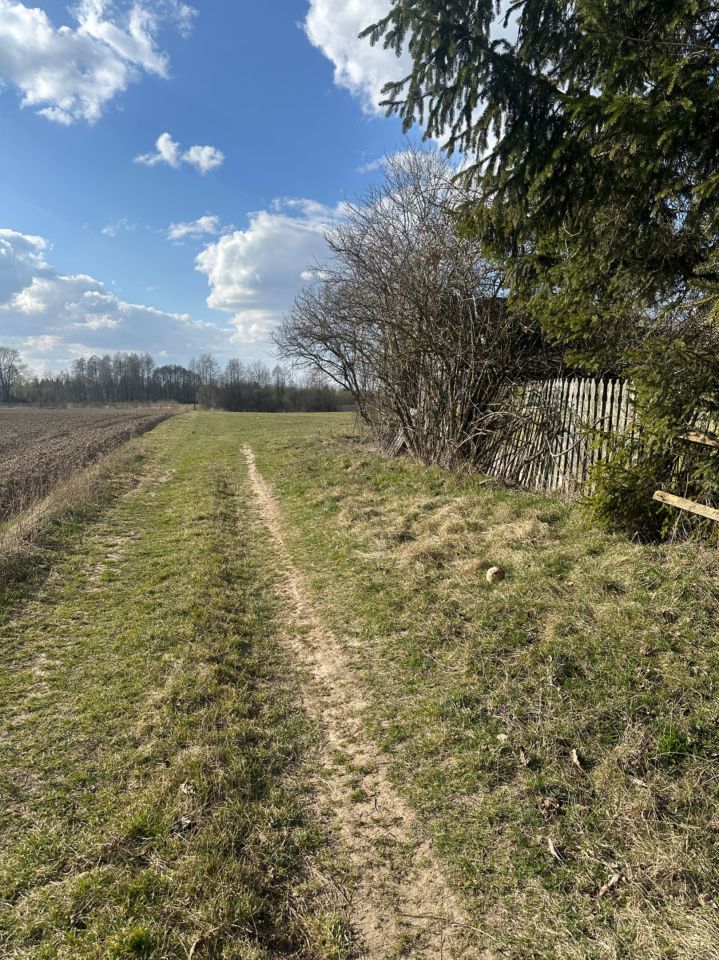 Działka budowlana Minkowice-Kolonia. Zdjęcie 1