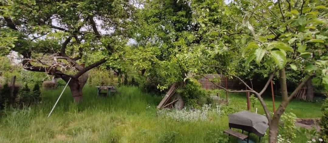 Działka rod Szczecin, ul. Hoża. Zdjęcie 2