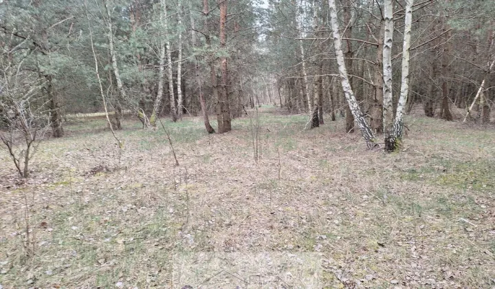 Działka Kamieńczyk