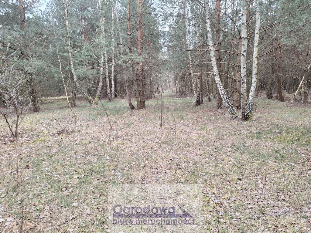 Działka Kamieńczyk. Zdjęcie 1