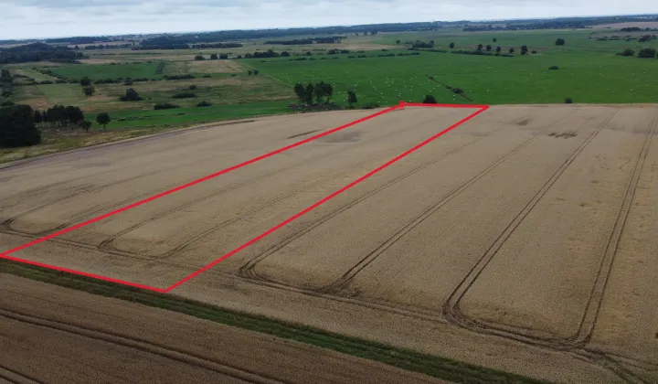 Działka rolna Karnice, ul. Leśna