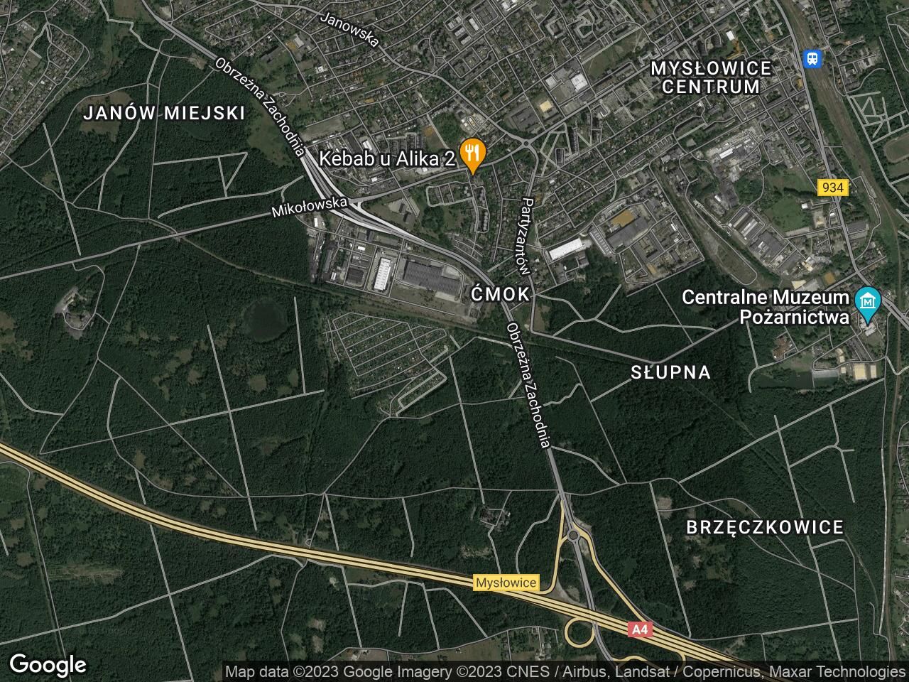 Działka rekreacyjna Mysłowice Ćmok, ul. Huta Rozalii