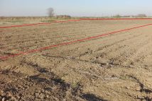 Działka inwestycyjna Radymno Zasanie. Zdjęcie 1