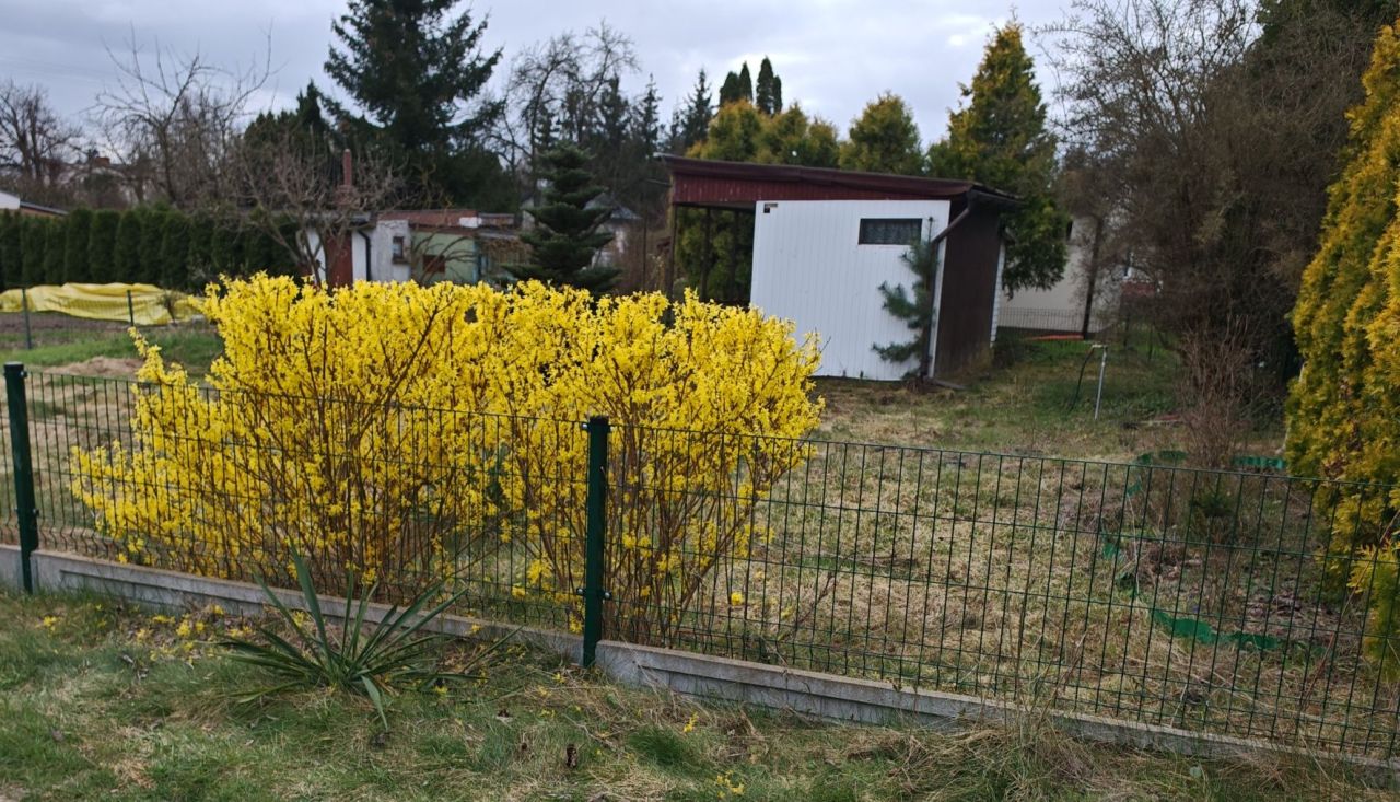 Działka rod Chludowo. Zdjęcie 6