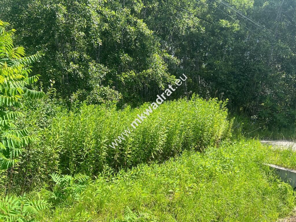 Działka budowlana Radonie. Zdjęcie 12
