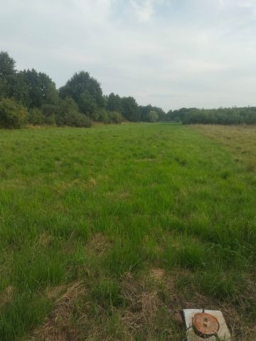 Działka rolno-budowlana Jaśkowice. Zdjęcie 1