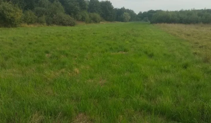 Działka rolno-budowlana Jaśkowice