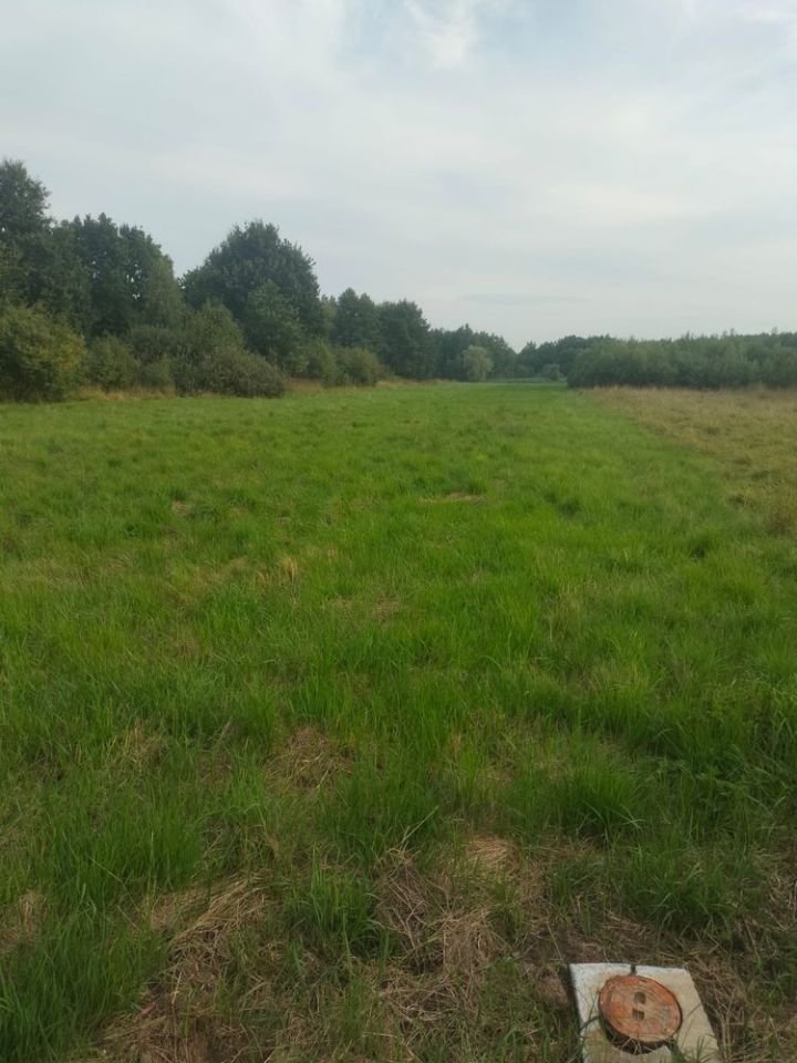 Działka rolno-budowlana Jaśkowice. Zdjęcie 1