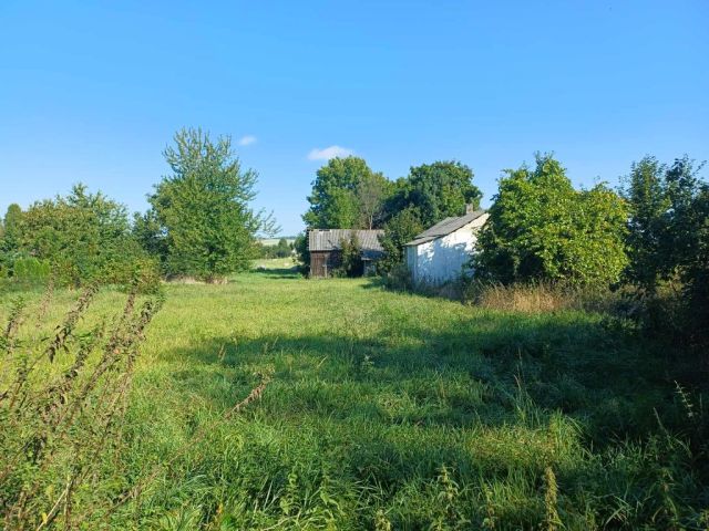 Działka rolno-budowlana Wojsławice. Zdjęcie 1