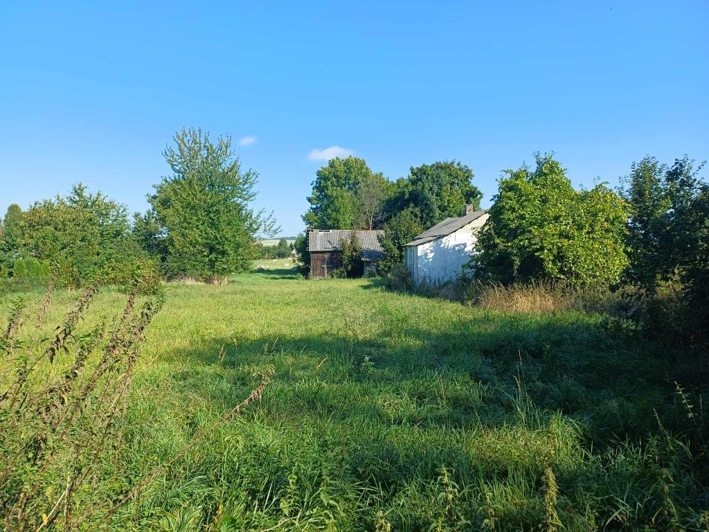 Działka rolno-budowlana Wojsławice. Zdjęcie 1