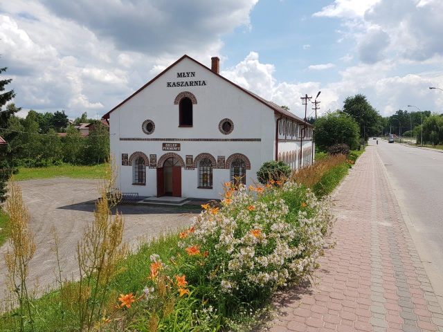 Nieruchomość komercyjna Rudnik nad Sanem, ul. Adama Mickiewicza. Zdjęcie 1
