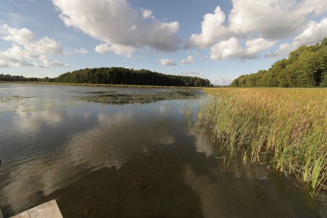 Działka rekreacyjna Potrzanowo, ul. Stare Potrzanowo. Zdjęcie 2