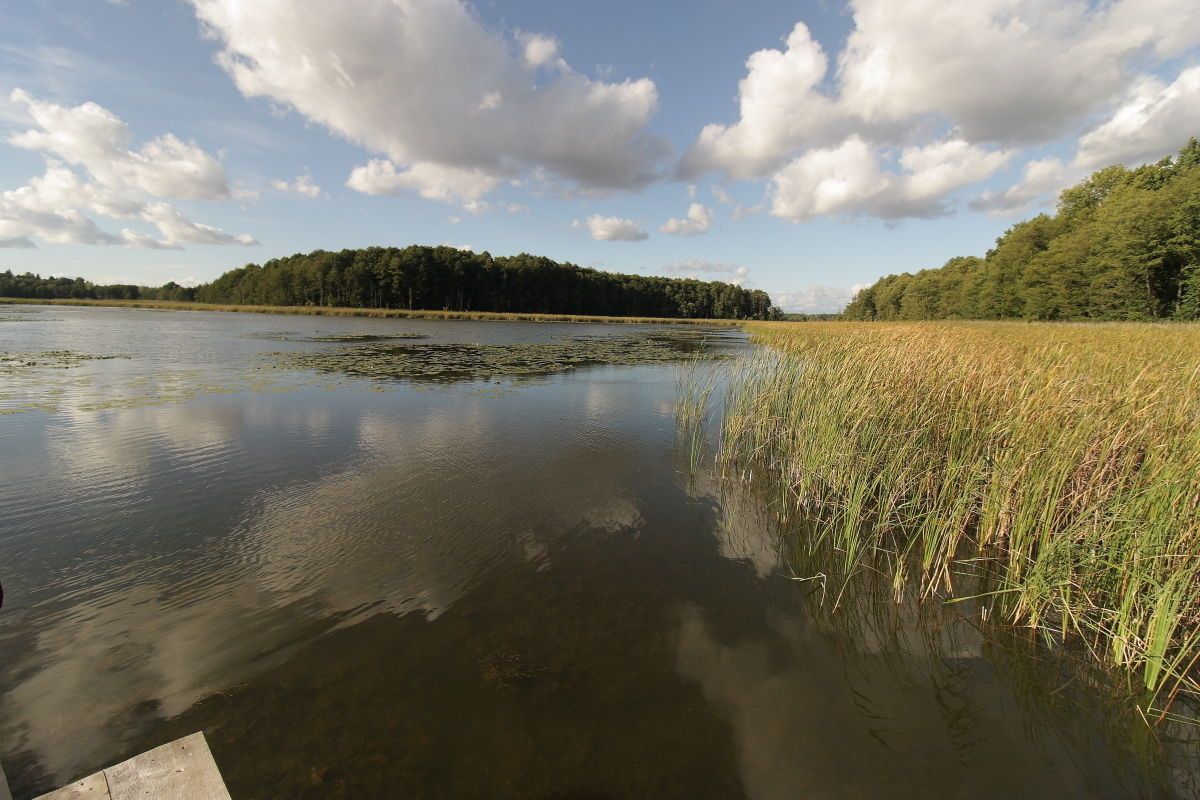 Działka rekreacyjna Potrzanowo, ul. Stare Potrzanowo. Zdjęcie 2