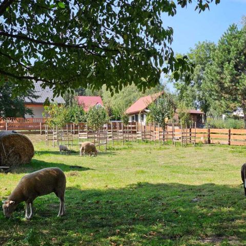 dom wolnostojący, 5 pokoi Krakuszowice. Zdjęcie 21