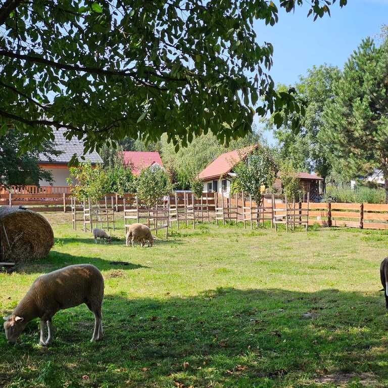 dom wolnostojący, 5 pokoi Krakuszowice. Zdjęcie 21