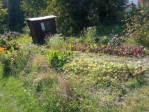 Działka rod Rzeszów, al. Powstańców Warszawy. Zdjęcie 2