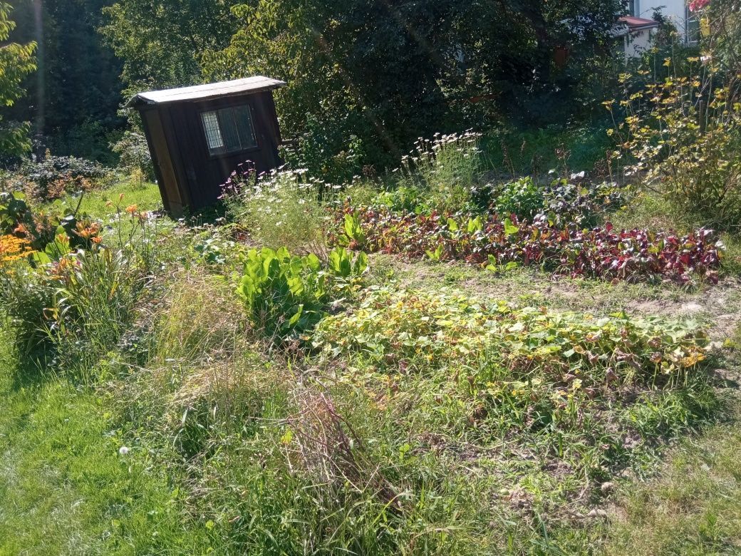 Działka rod Rzeszów, al. Powstańców Warszawy. Zdjęcie 3