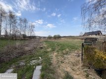 Działka rolno-budowlana Tomaszowice. Zdjęcie 4