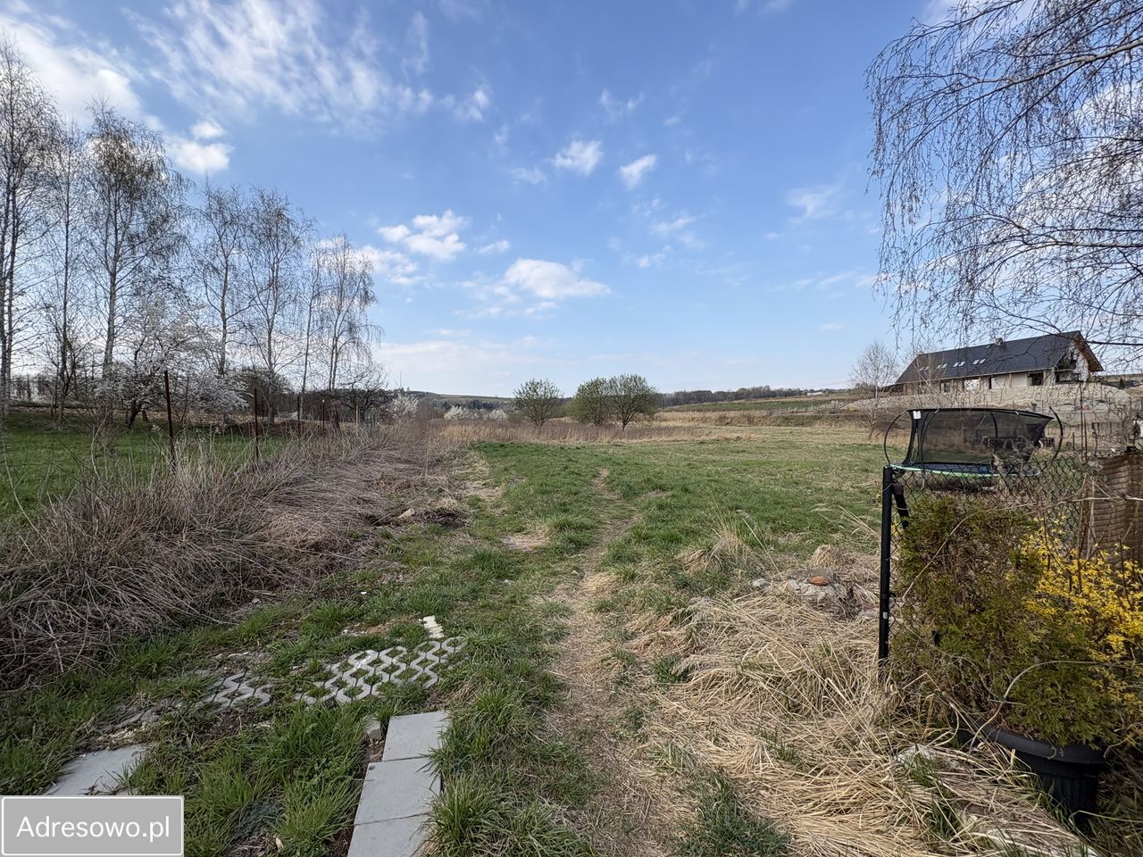 Działka rolno-budowlana Tomaszowice. Zdjęcie 5