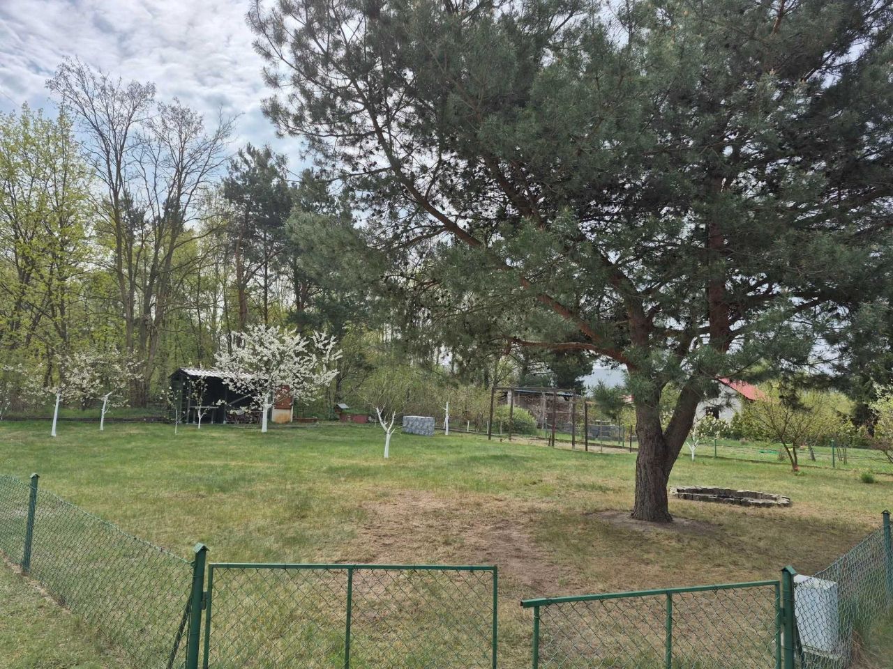 Działka rod Sulechów, ul. Gajowa. Zdjęcie 6