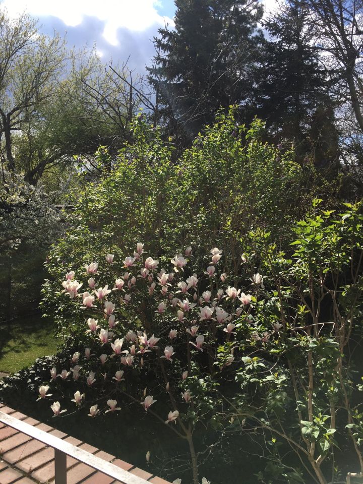 dom szeregowy, 7 pokoi Warszawa Mokotów, ul. Wróbla. Zdjęcie 8