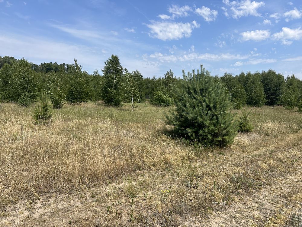 Działka budowlana Malanów. Zdjęcie 7