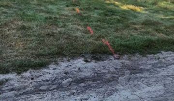 Działka leśna Mójcza