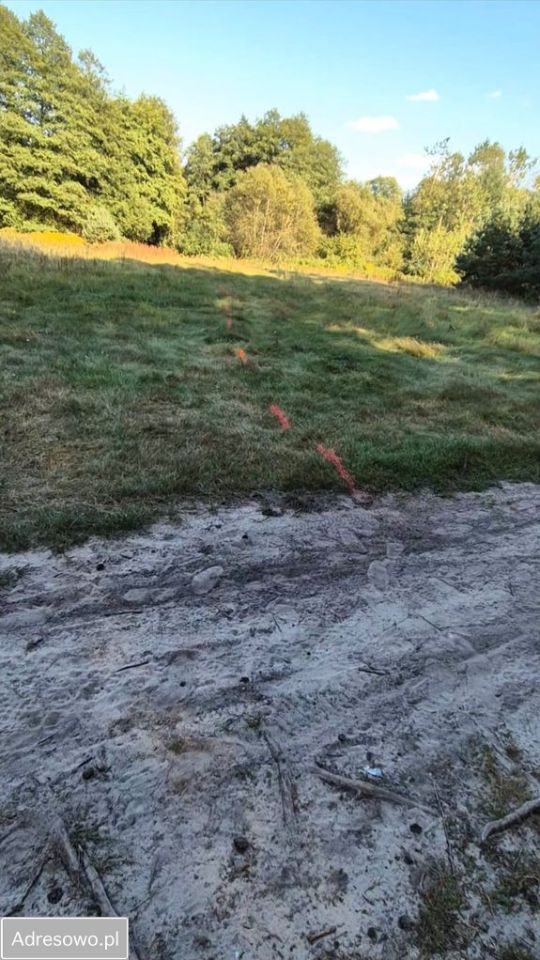 Działka leśna Mójcza. Zdjęcie 2