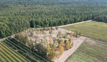 Działka budowlana Pruszków Centrum, park T. Kościuszki