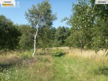 Działka rolna Radawka. Zdjęcie 4