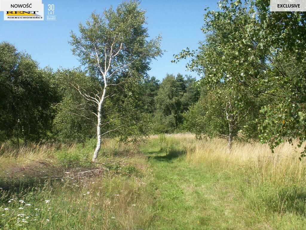 Działka rolna Radawka. Zdjęcie 6