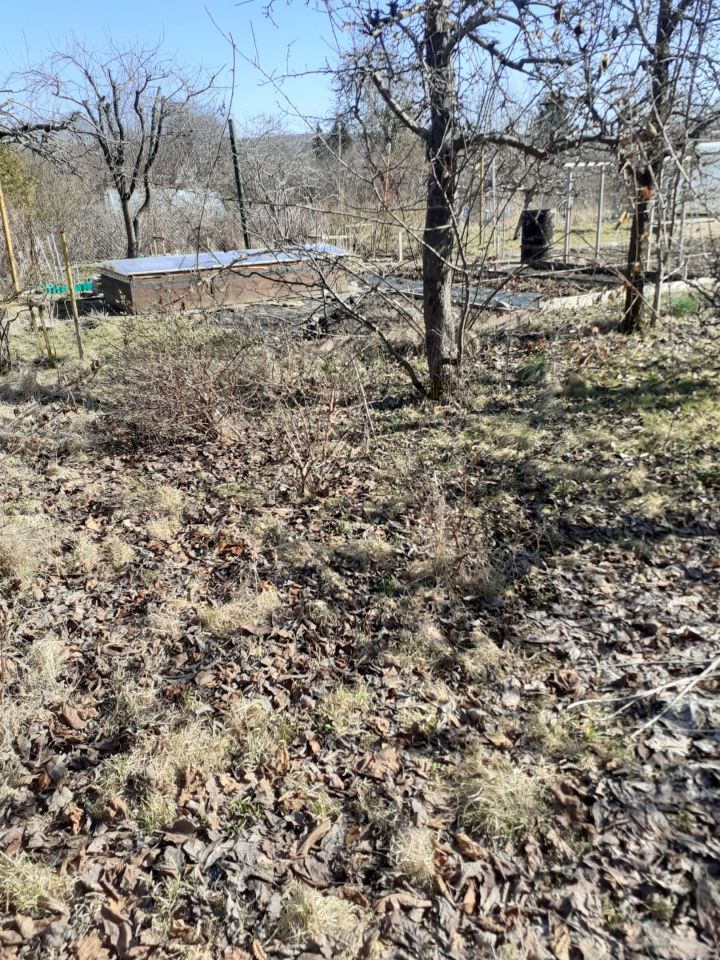 Działka rod Koszalin Północ, ul. Władysława IV. Zdjęcie 6